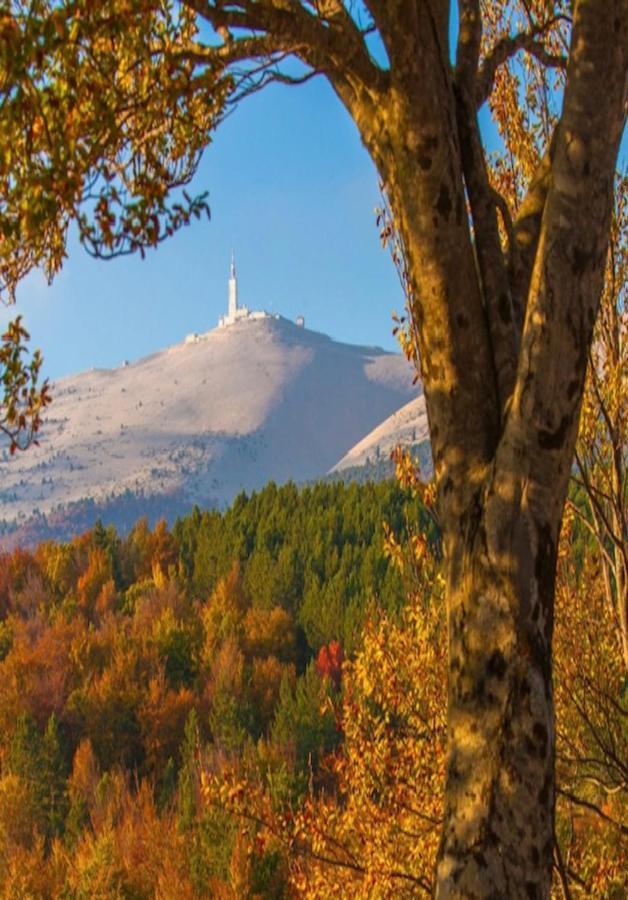 Gite Les Feuilles De Chene Villa Carpentras Bagian luar foto