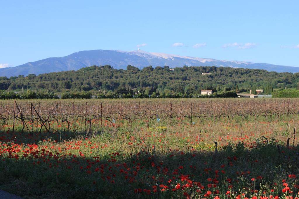 Gite Les Feuilles De Chene Villa Carpentras Bagian luar foto
